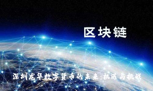 深圳龙华数字货币的未来：机遇与挑战